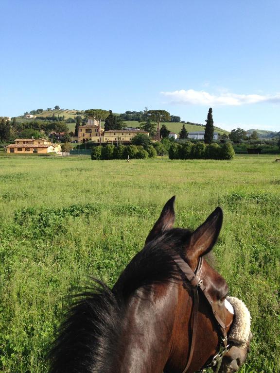 Agriturismo Villa Irelli Castellalto Exterior foto